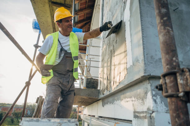 Best Home Insulation Services  in Pierce, NE
