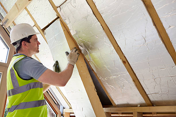 Best Insulation Contractor Near Me  in Pierce, NE